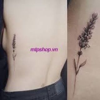 hình xăm dán mini