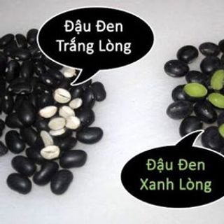đậu đen xanh lòng