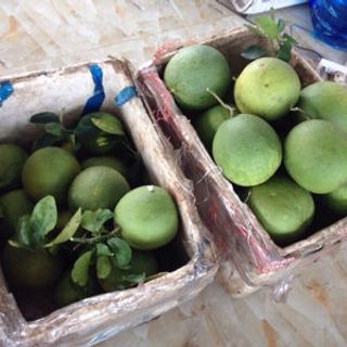 Bưởi da xanh Bến Tre