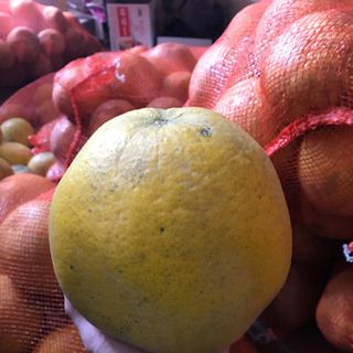bưởi diễn phú thọ