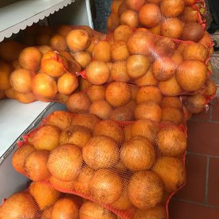 bưởi diễn phú thọ
