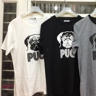 Aó thun chó Bull do xưởng lên mẫu