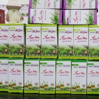 TINH DẦU BẠC HÀ - 50ml