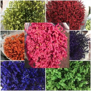 CHUYÊN SỈ LỂ HOA SAO KHÔ 400GR