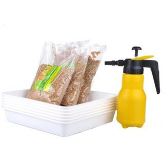 Bộ kít trồng cỏ lúa mì Facare