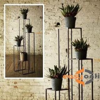 Chậu cảnh đặc biệt giá sỉ