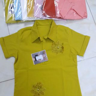 áo sơ mi kiểu