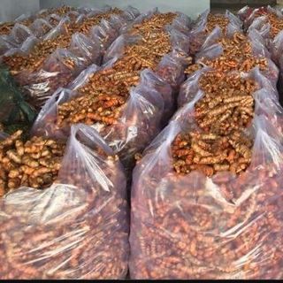 nghệ đỏ chuối daklak