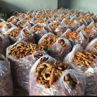 nghệ đỏ chuối daklak