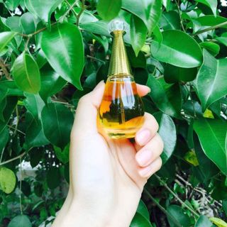 Nước Hoa Charme Adore 25ml