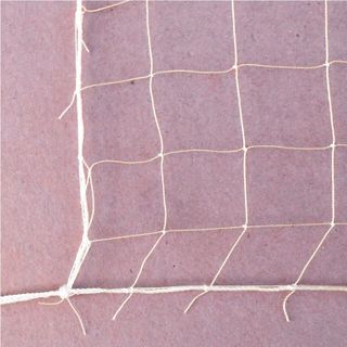 Lưới Cầu Lông Mắt To Tập Luyện Chiến Công CL60-2B