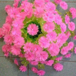 Nguyên lieu Hoa giấy lụa/gấm