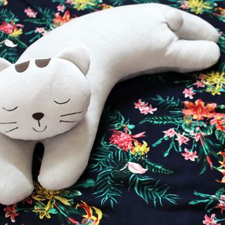 Mèo lười mùa đông - Độc quyền