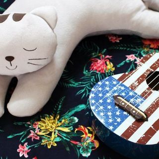 Mèo lười mùa đông - Độc quyền