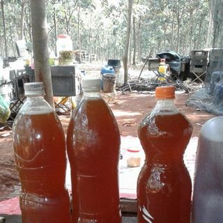 mật ong hoa cafe nguyên chất
