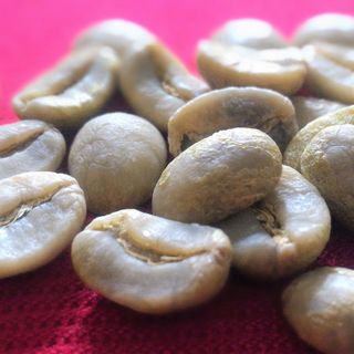 Cà phê Arabica Cầu Đất S18 giá sỉ