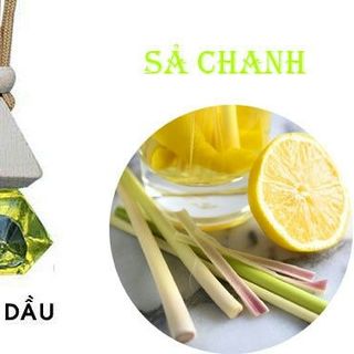 Tinh dầu treo xe tủ quần áo phòng tắm phòng ngủ