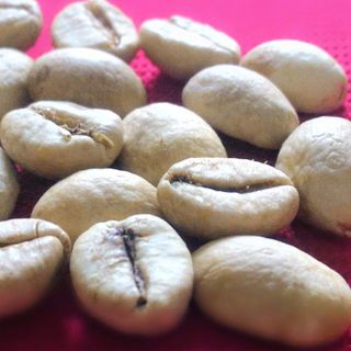 Nhân cà phê Robusta S18 giá sỉ