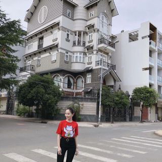 Áo mèo thần tài may mắn