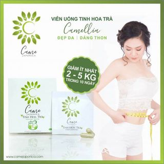 TINH HOA TRÀ CAME - GIẢM CÂN SIÊU HIỆU QUẢ