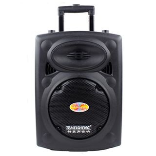 Loa Kéo Temeisheng DP 131 Âm Thanh Hay Giá Cực Rẻ
