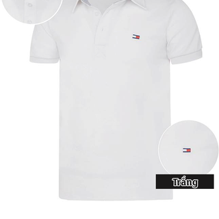 Áo thun cổ bẻ sơ mi trắng