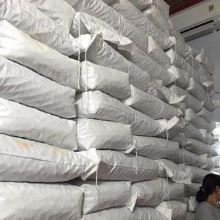 Mắcca Úc nứt vỏ tự nhiên