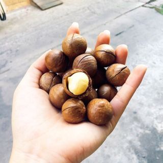 Mắcca Úc nứt vỏ tự nhiên