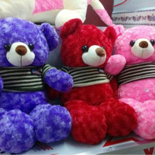 Gấu teddy quà tặng khổ 65cm