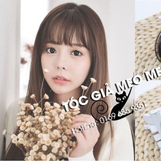 TÓC GIẢ MÁI THƯA HÀ NỘI 32K