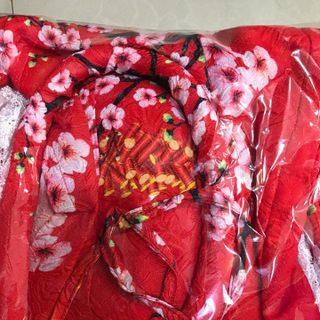Áo Dài Cách Tân Du Xuân