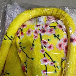 Áo Dài Cách Tân Du Xuân
