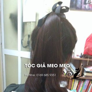 TÓC GIẢ CỘT