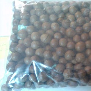 Mắcca Úc nứt vỏ tự nhiên