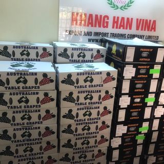 Nho khô nguyên cành Úc