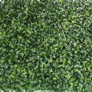 Cỏ vỉ trang trí xà lách xoong EV02
