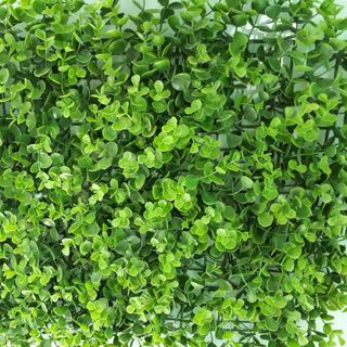 Cỏ vỉ trang trí mắt trâu EV04