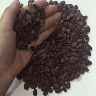 Hạt dưa Tứ Hưng