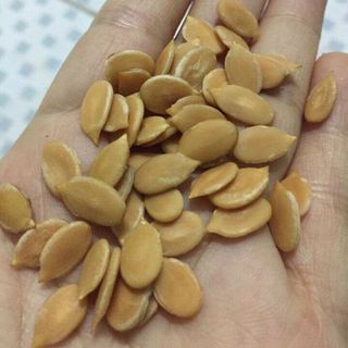 Hạt dưa Tứ Hưng