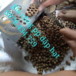 Chuyên sỉ vòng dâu tằm cho bé