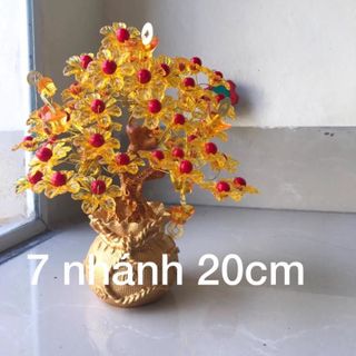 Cây kim tài lộc
