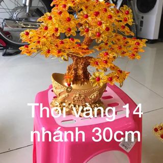 Cây kim tài lộc