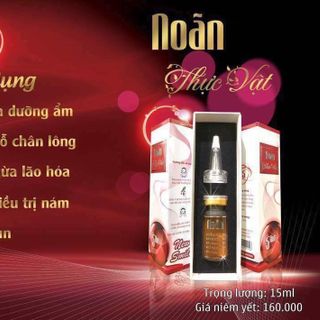 NOÃN THỰC VẬT GIÁ SỈ