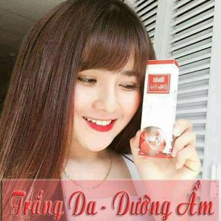 NOÃN THỰC VẬT GIÁ SỈ