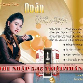 NOÃN THỰC VẬT GIÁ SỈ