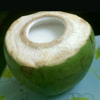 Rau cau trai dua