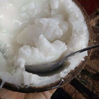 Dừa sáp Trà Vinh