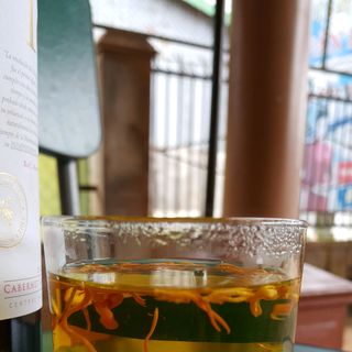 đông trùng hạ thảo sinh khối
