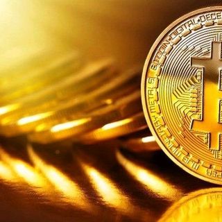 Đồng tiền Bitcoin giá sỉ