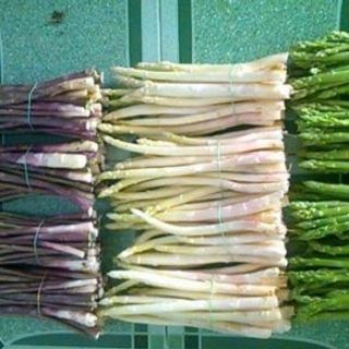 MĂNG TÂY TƯƠI MĂNG TÂY TRẮNG MĂNG TÂY TÍM MĂNG TÂY XANH